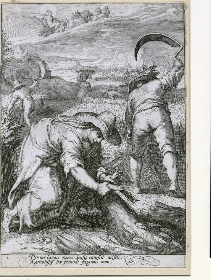Summer: peasants harvesting wheat