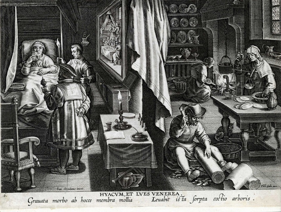 The discovery of Guaicum as a cure for venereal infection