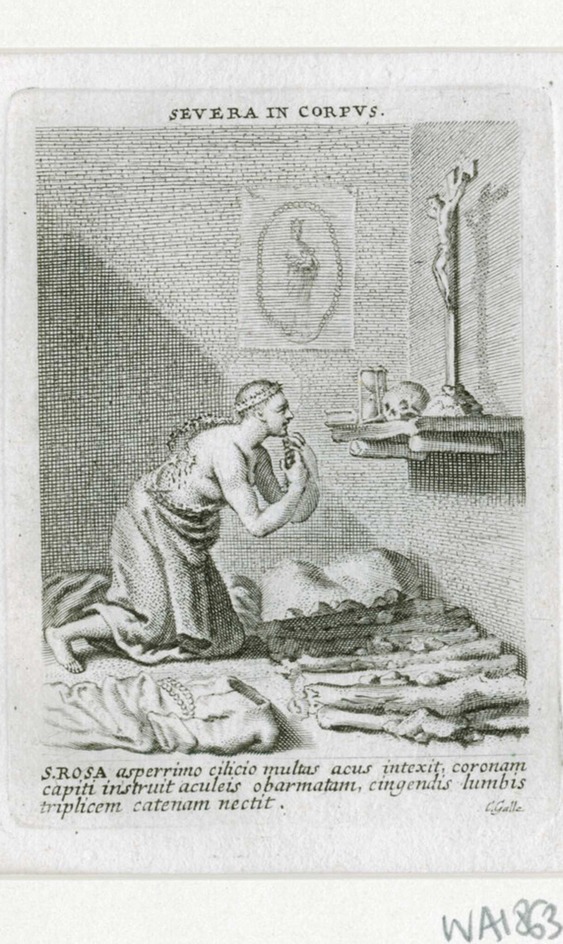 St Rose in penitence