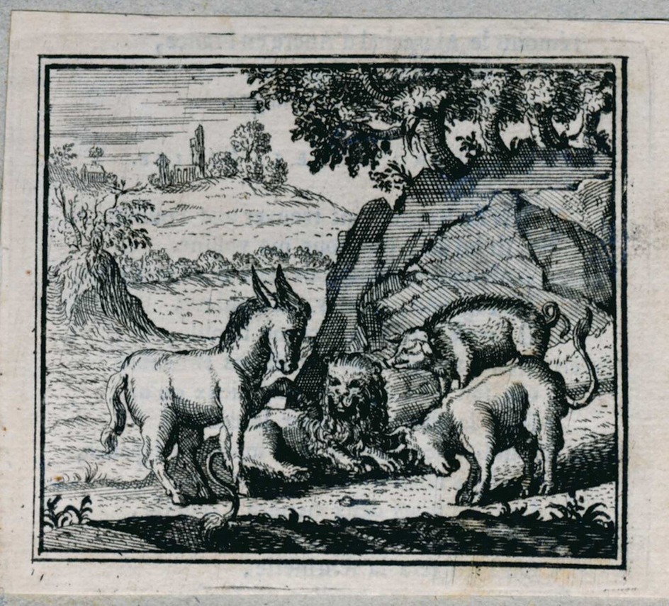 The sick lion