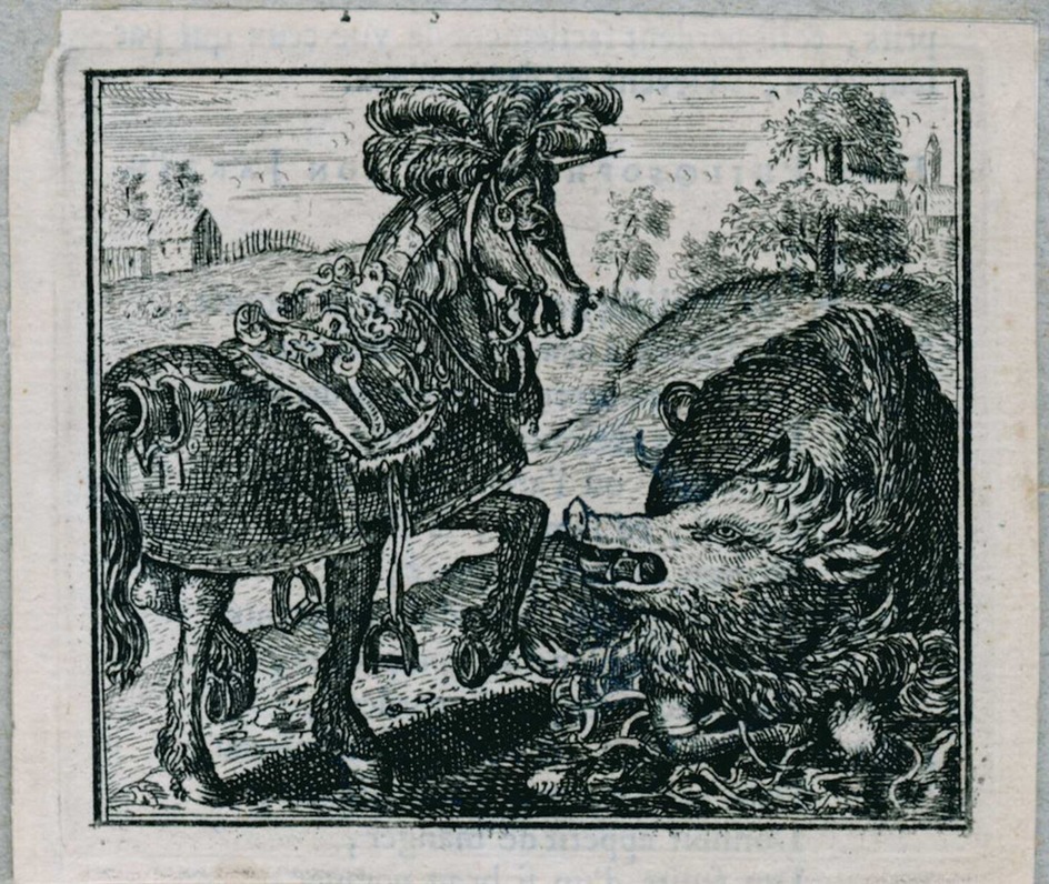 The warhorse and the boar