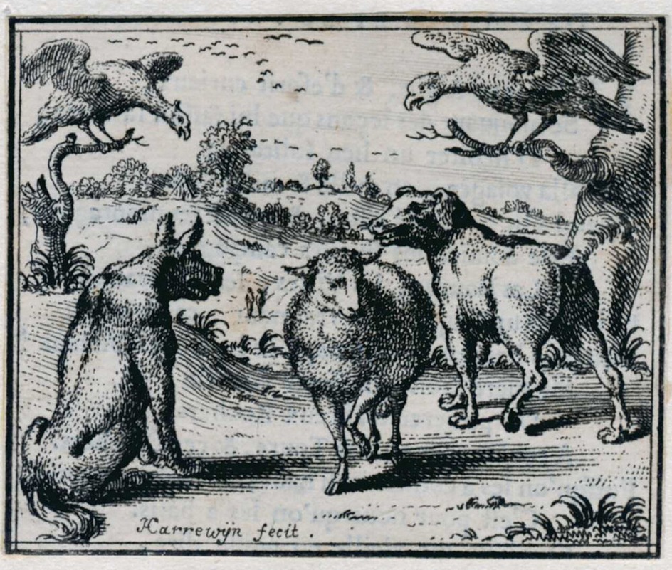 The lamb and the dog