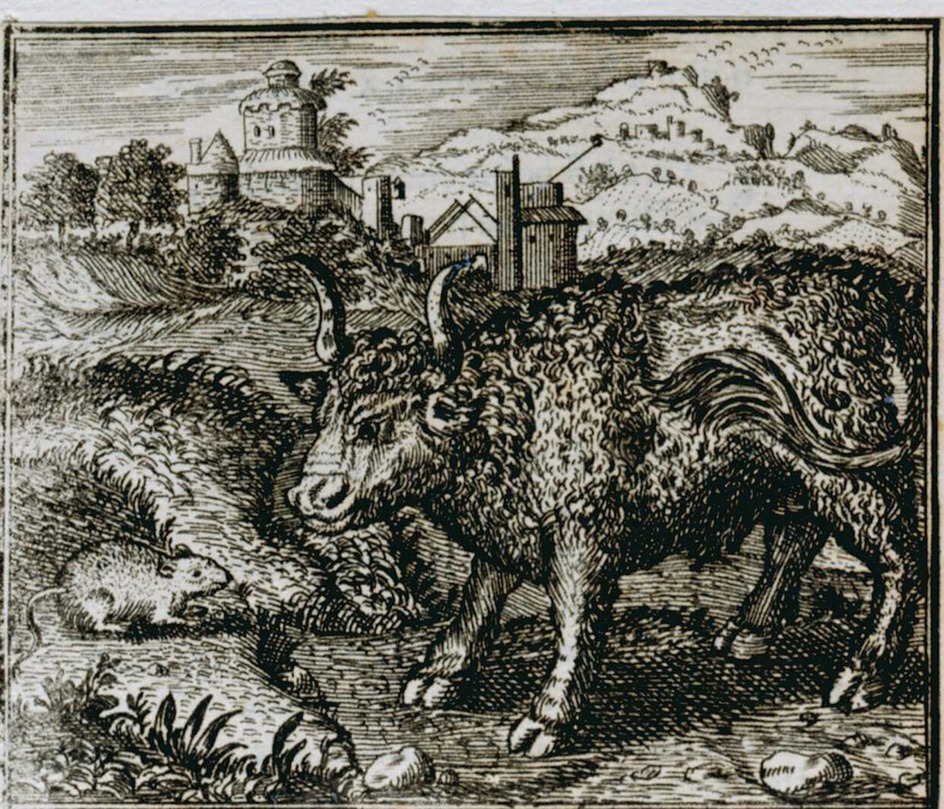 The mouse and the bull