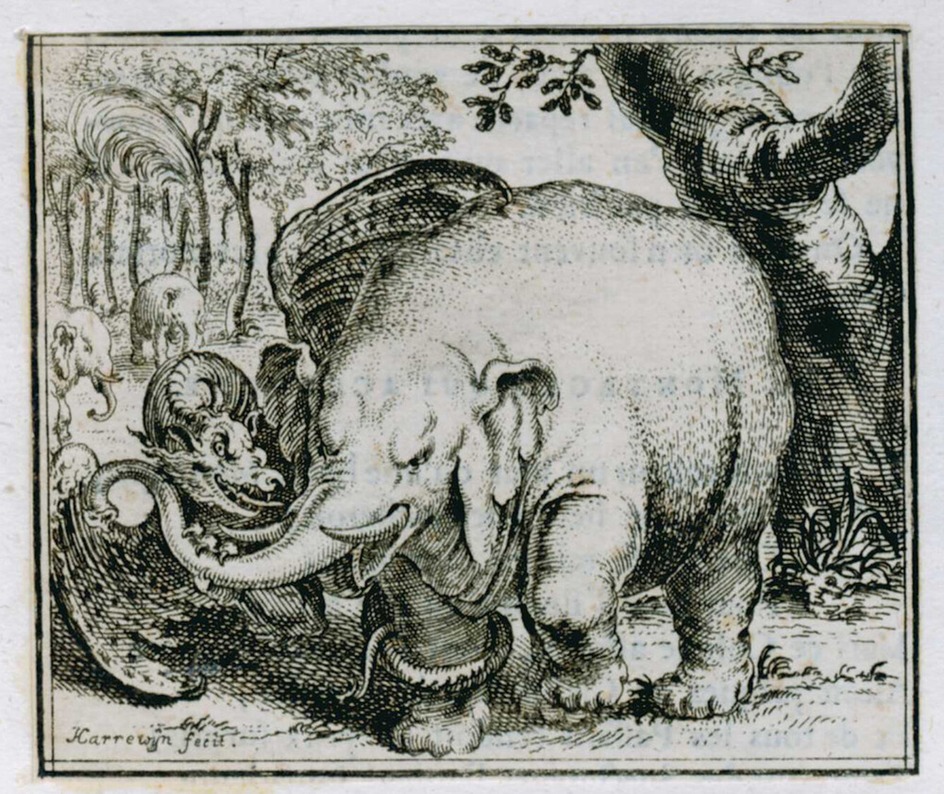 The elephant and the dragon