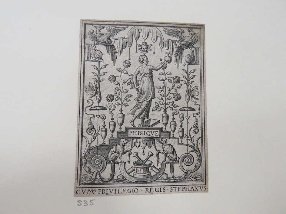 Physics in centre holding a vase standing on architectural element with stairs covered with vases of flowers with bugs and birds, two dogs holding canopy below, from Douce Ornament Prints Album I