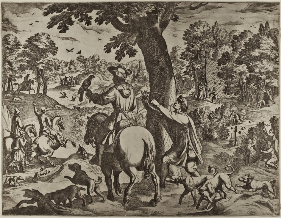Bird Hunt with a Falcon