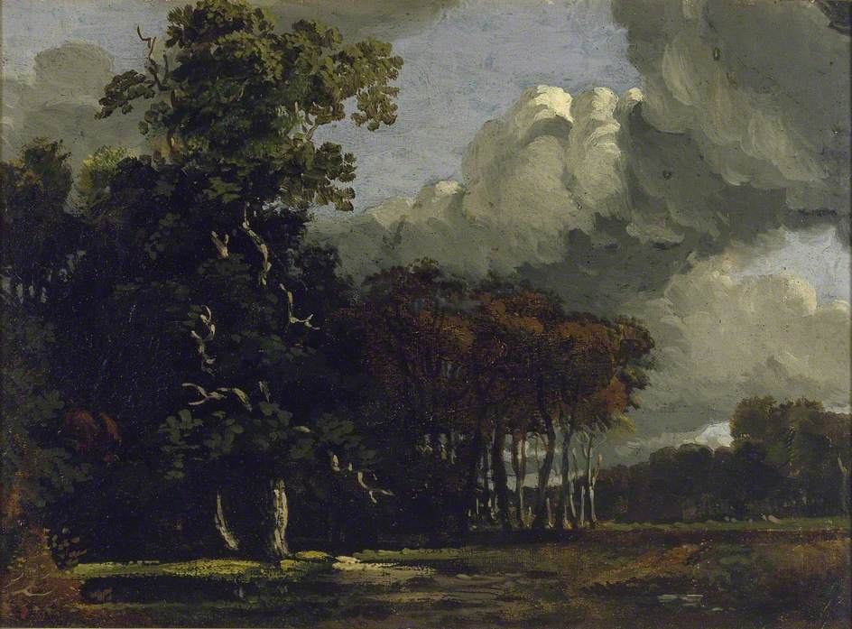 Woodland Landscape