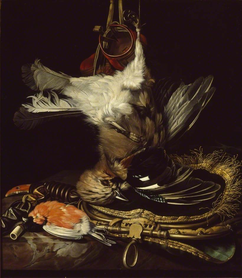 Still Life with a dead Jay