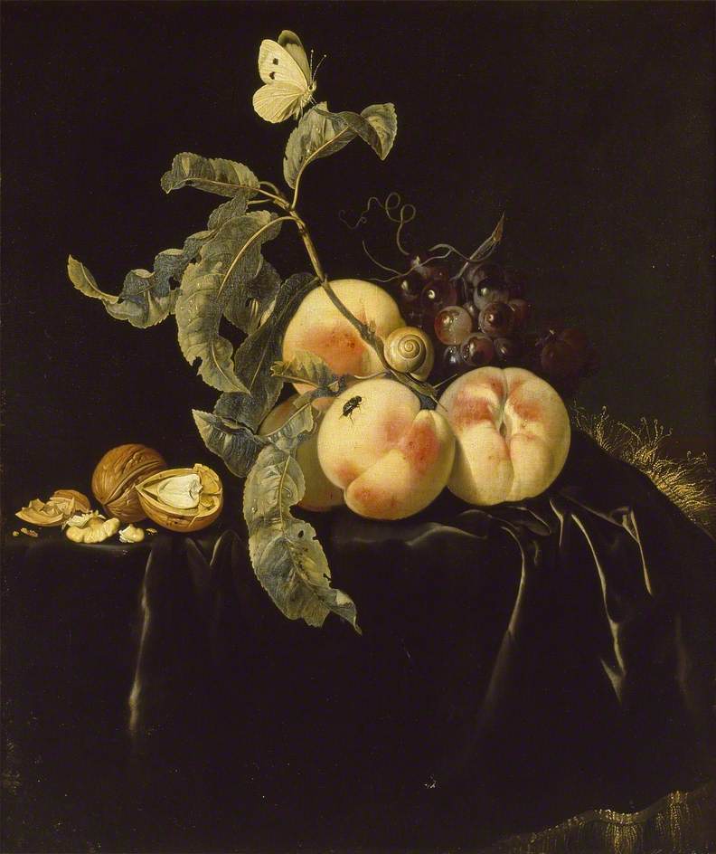 Still Life of Fruit