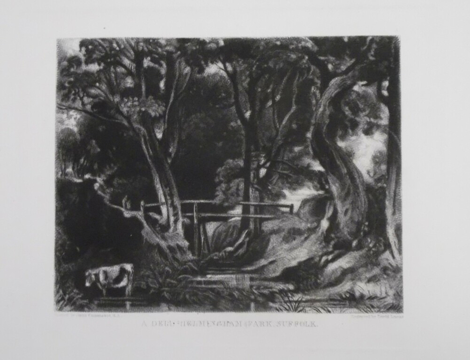 A Dell, Helmingham Park, Suffolk