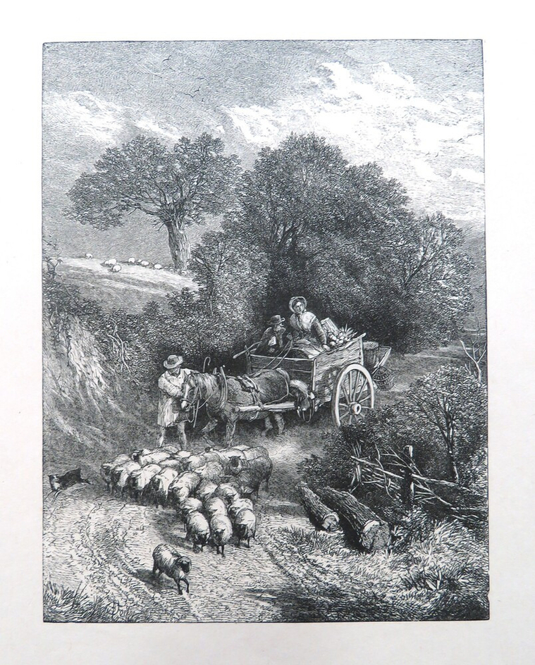 English Landscape: country lane with flock of sheep and horse and cart with two people in it