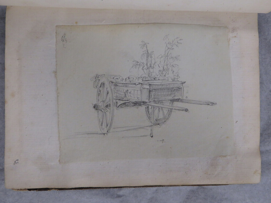 Sketch of a Cart with Plants in it