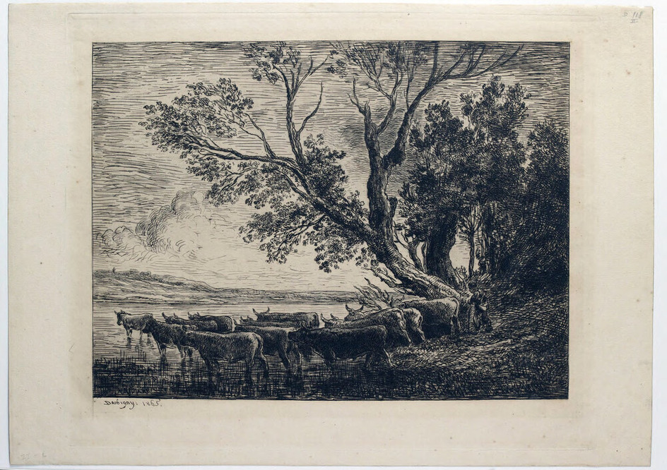 The Ford