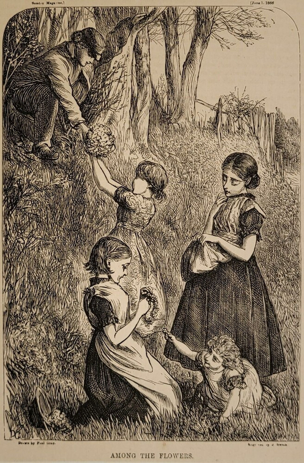 Among the Flowers