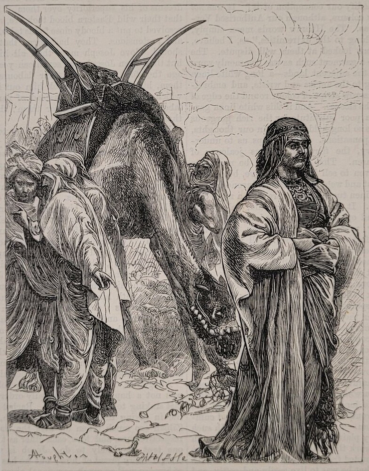 Joseph’s Coat