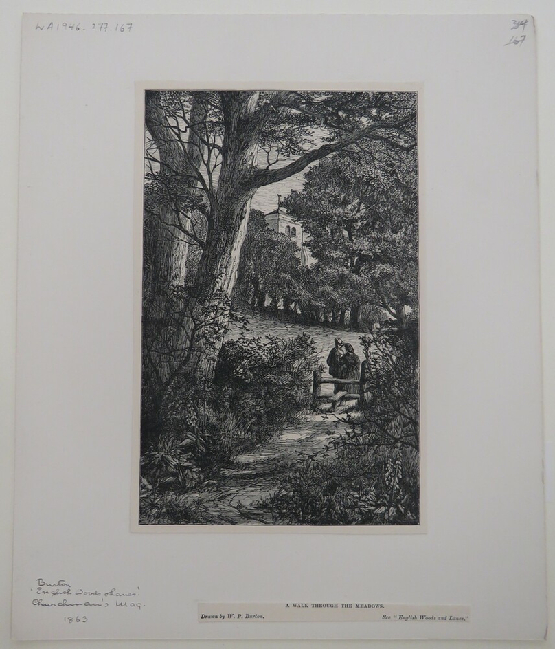 A Walk through the Meadows