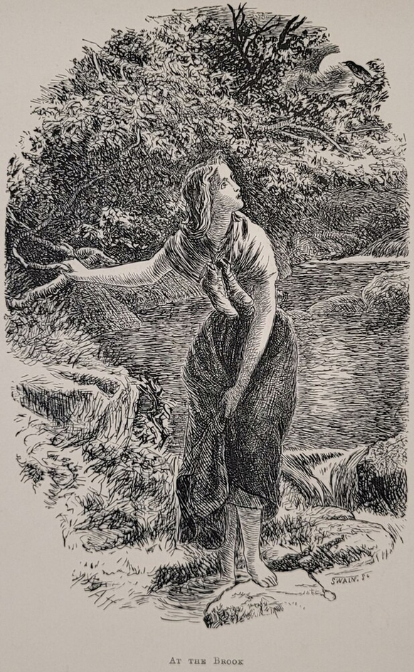 At the Brook