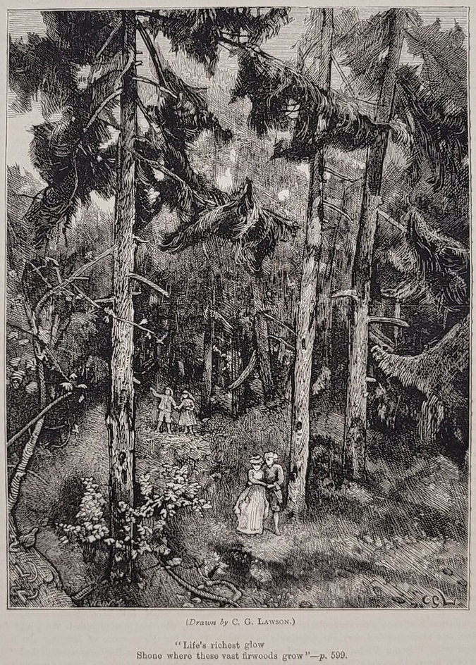 Life’s Richest Glow Shone Where These Vast Firewoods Grow