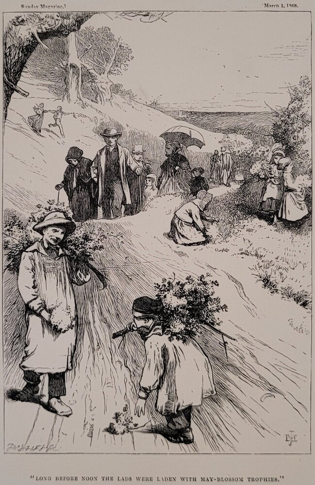 'LONG BEFORE NOON THE LADS WERE LADEN WITH MAY-BLOSSOM TROPHIES.'
