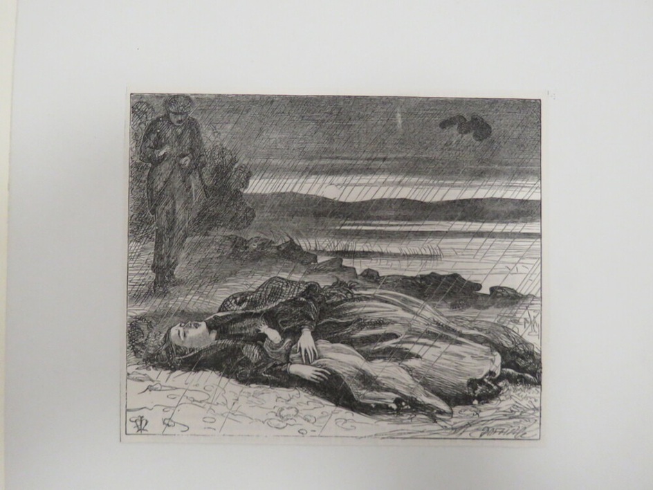 Scene from 'Highland Flora'