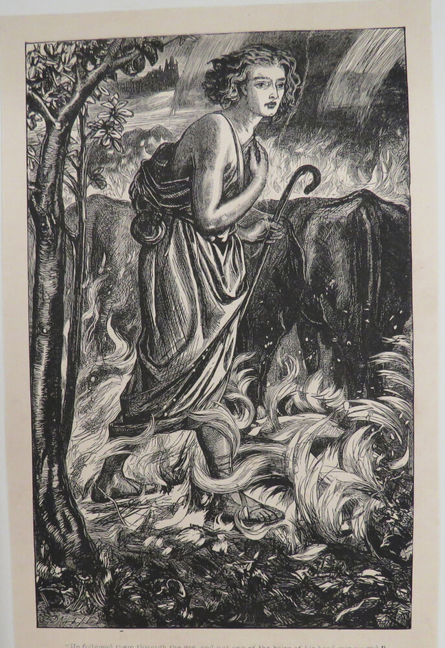 'He followed them through the fire, and not one of the hairs of his head was singed.'