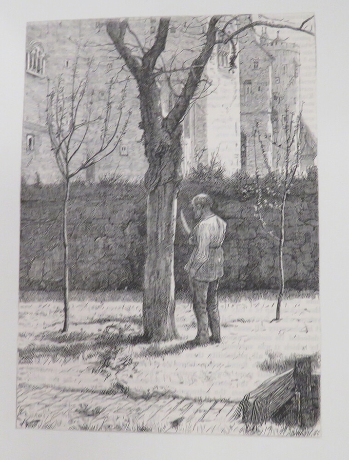 'Luther's Gardener'