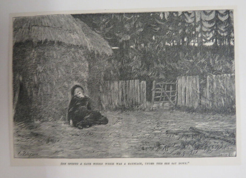 She opened a gate within which was a haystack, and under this she sat down