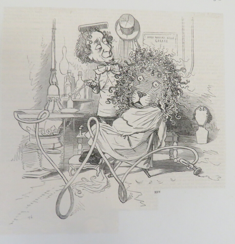 Caricature of a lion at the barber's