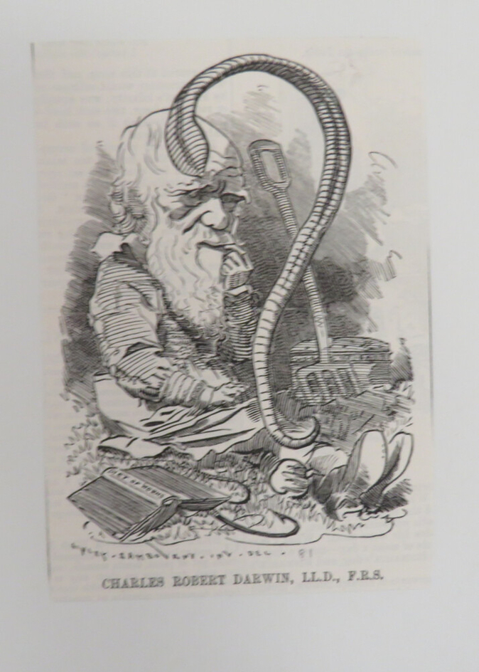 CHARLES ROBERT DARWIN, LL.D., F.R.S