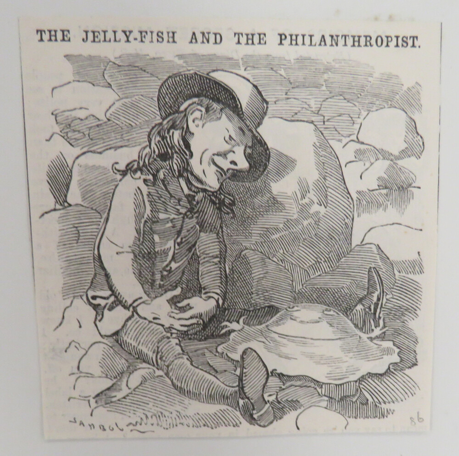 THE JELLY-FISH AND THE PHILANTHROPIST