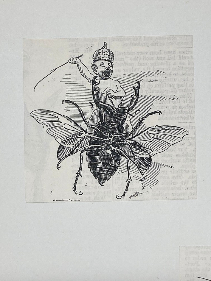 Caricature of a fairy-like naked boy riding on the back of a beetle
