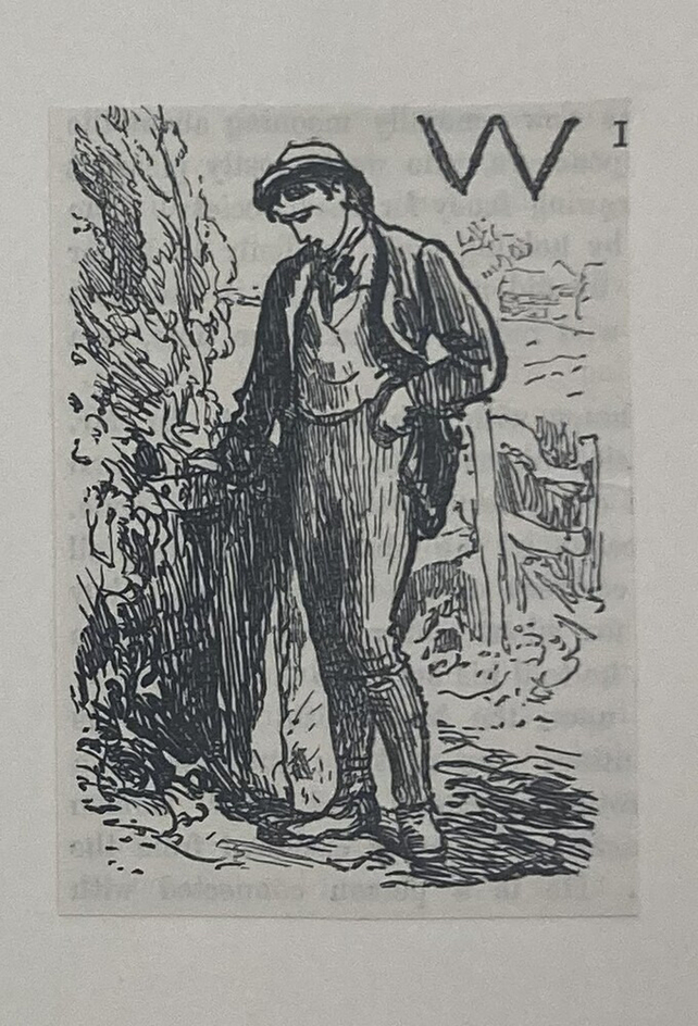 Sketch for initial letter ' W '