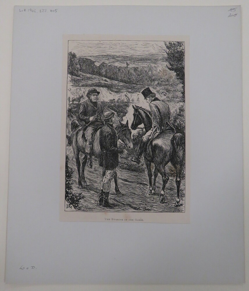 The Burning of the Gorse