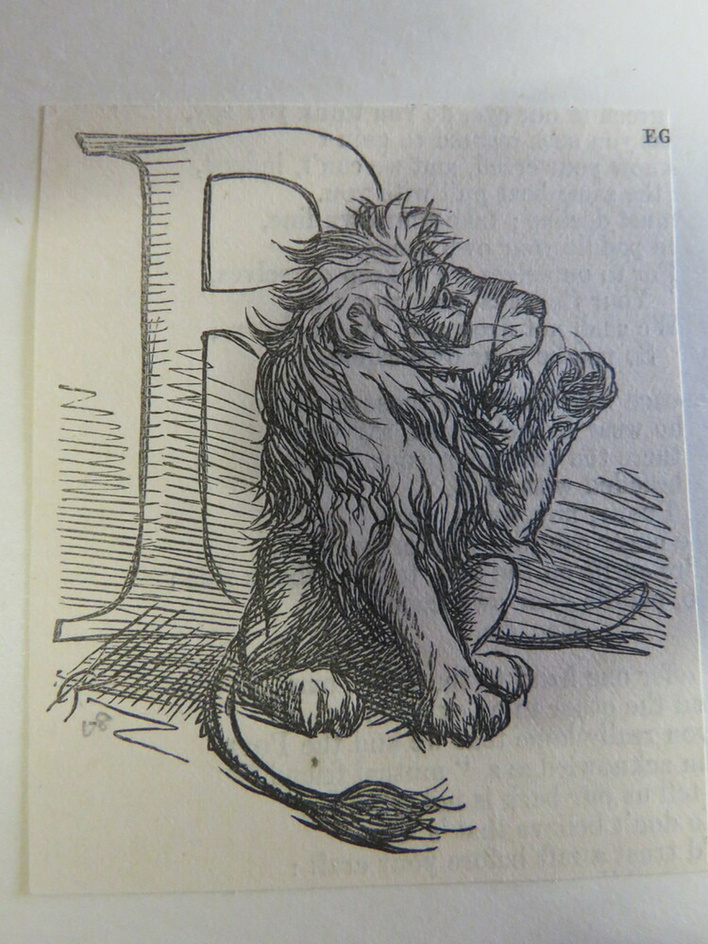 Lion with muzzle and a letter R behind