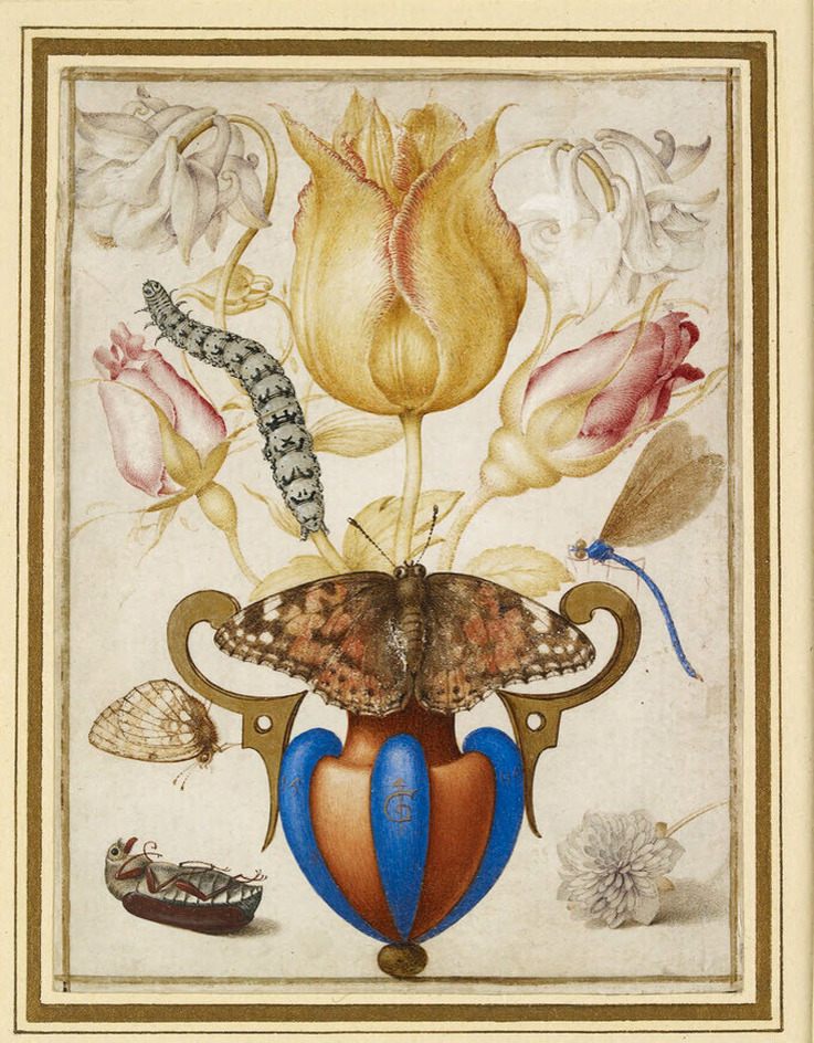 Arrangement of Flowers in a vase with insects | A tulip, two white Columbine flowers and two rosebuds in an ornamental vase, with on it, in the centre, a Painted Lady butterfly (Vanessa cardui) with its wings outspread, a caterpillar left of centre, a dragonfly right of centre, a cockchafer on its back at lower left and a fallen anemone flower at lower right (descriptive)