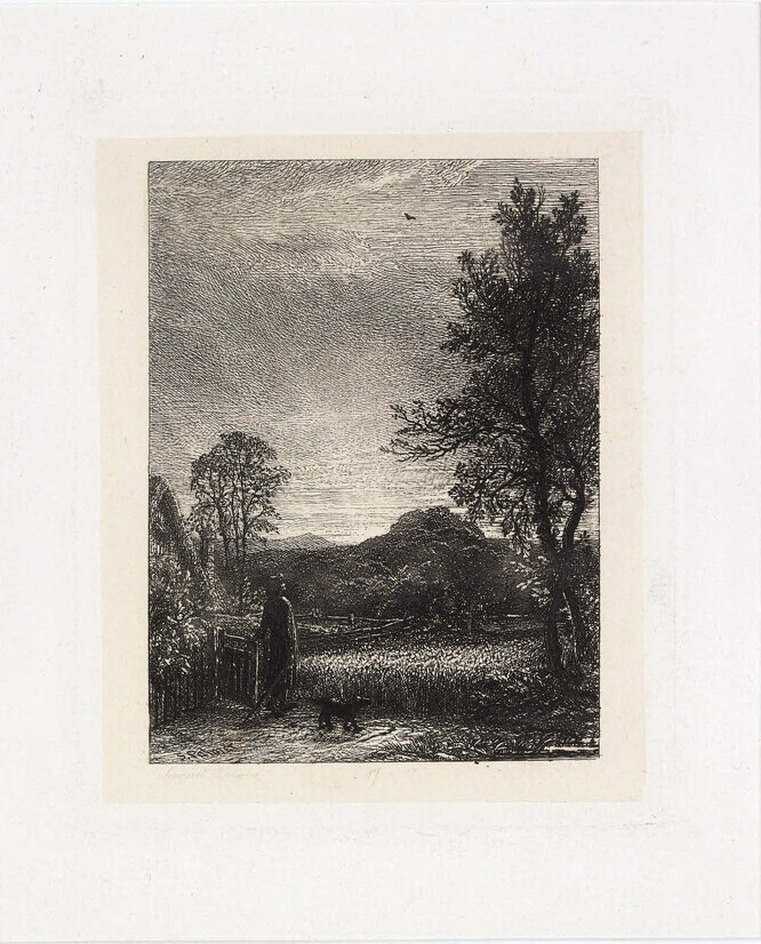 The Skylark