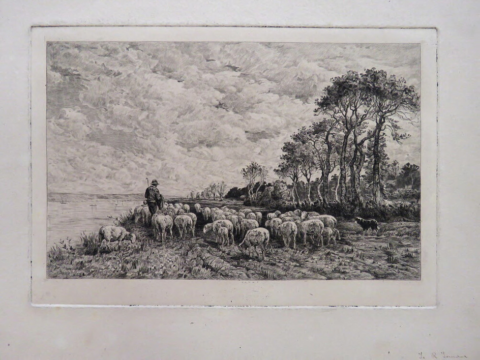 Shepherd and sheep