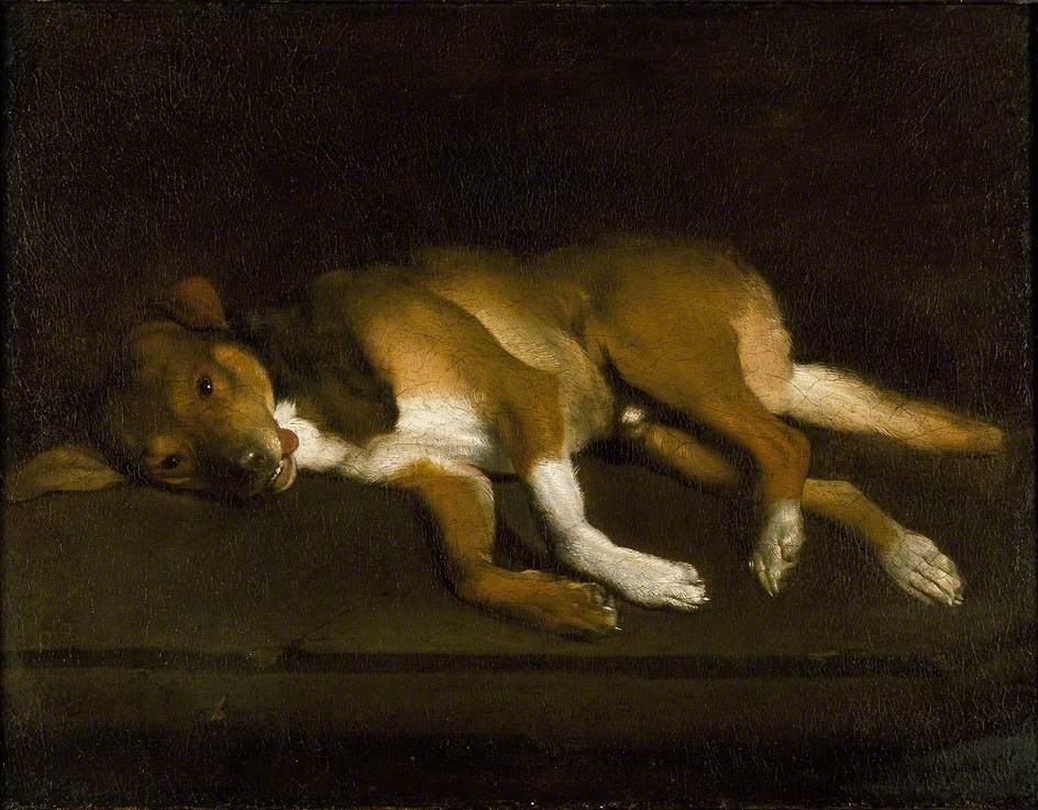 A Dog lying on a Ledge