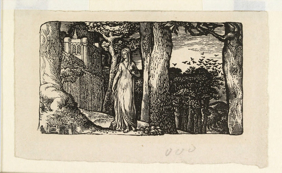 The Lady with the Rooks