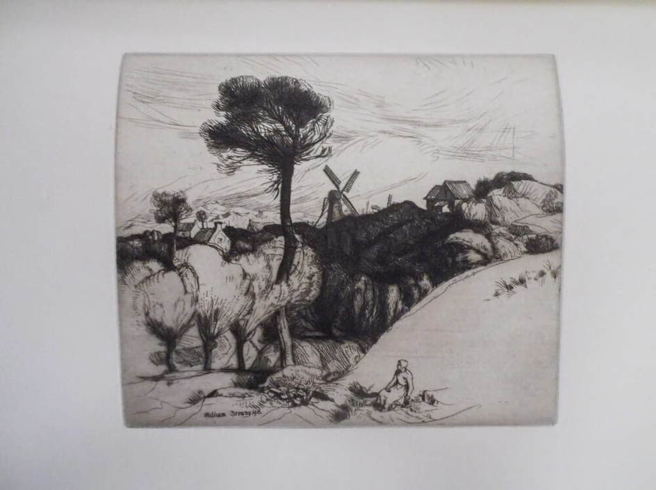 Western Flanders: Sand Dunes at Furnes