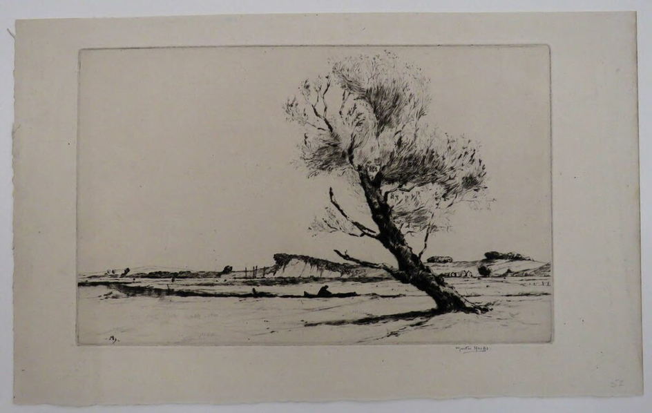 The Lonely Willow, Wareham