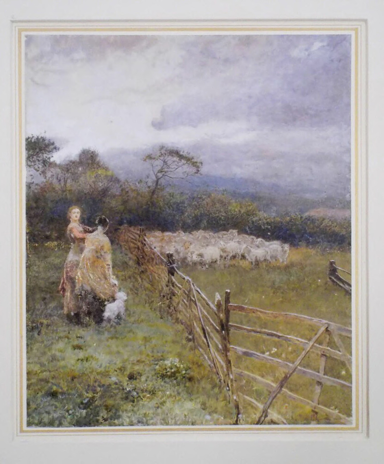 The Sheepfold