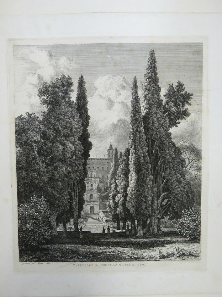 Cypresses in the Villa d'Este at Tivoli