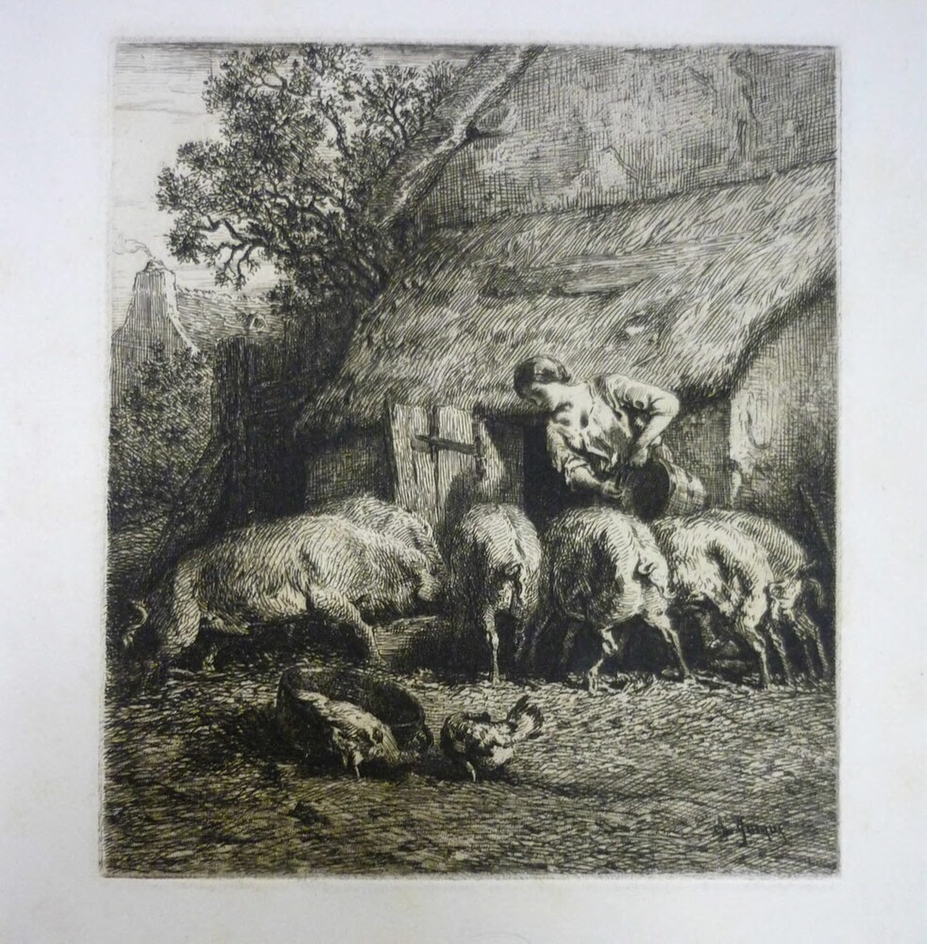 Feeding Pigs