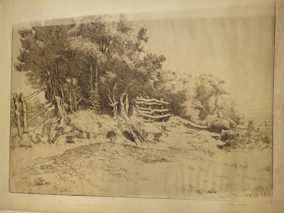 Stormy Landscape