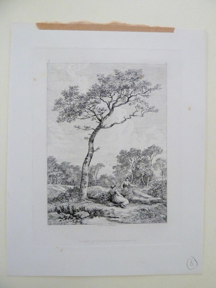 Landscape with girls gathering faggots