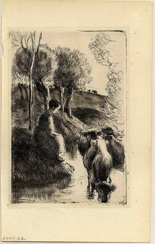 Vachère au bord de l'eau