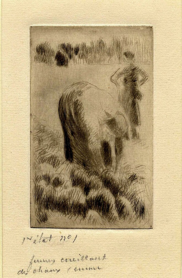 Femme cueillent des choux