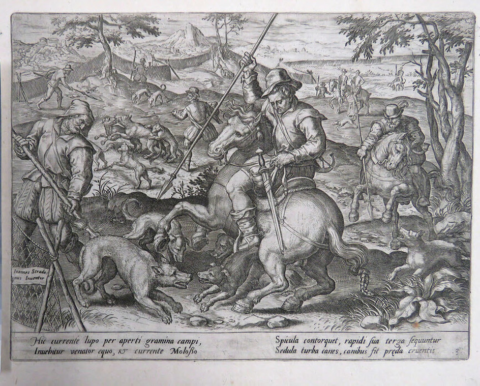 Wolf hunt