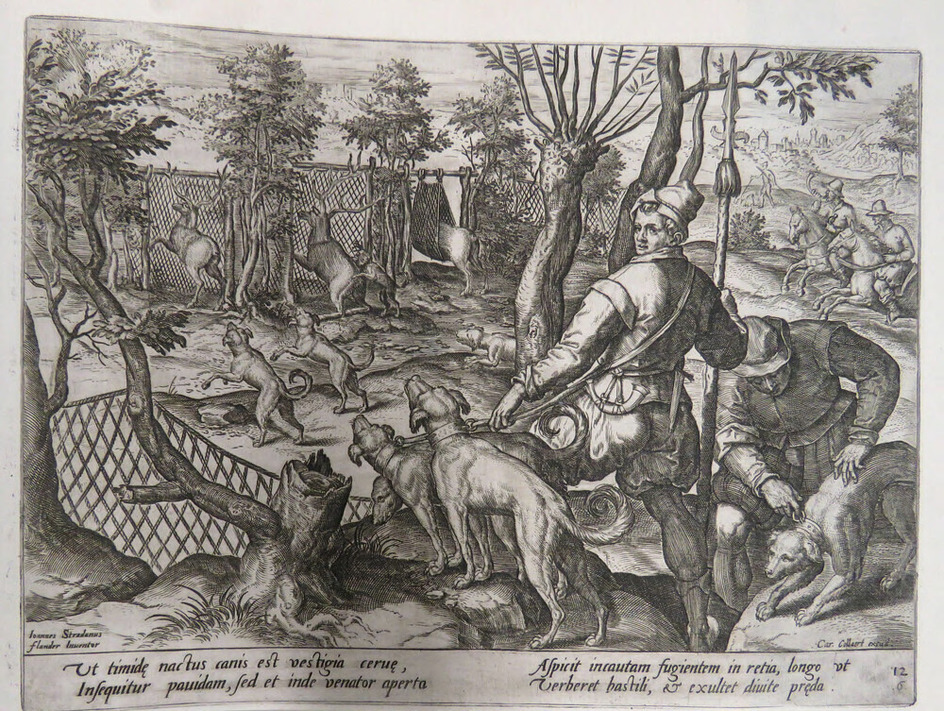 Hunting deers in a battue